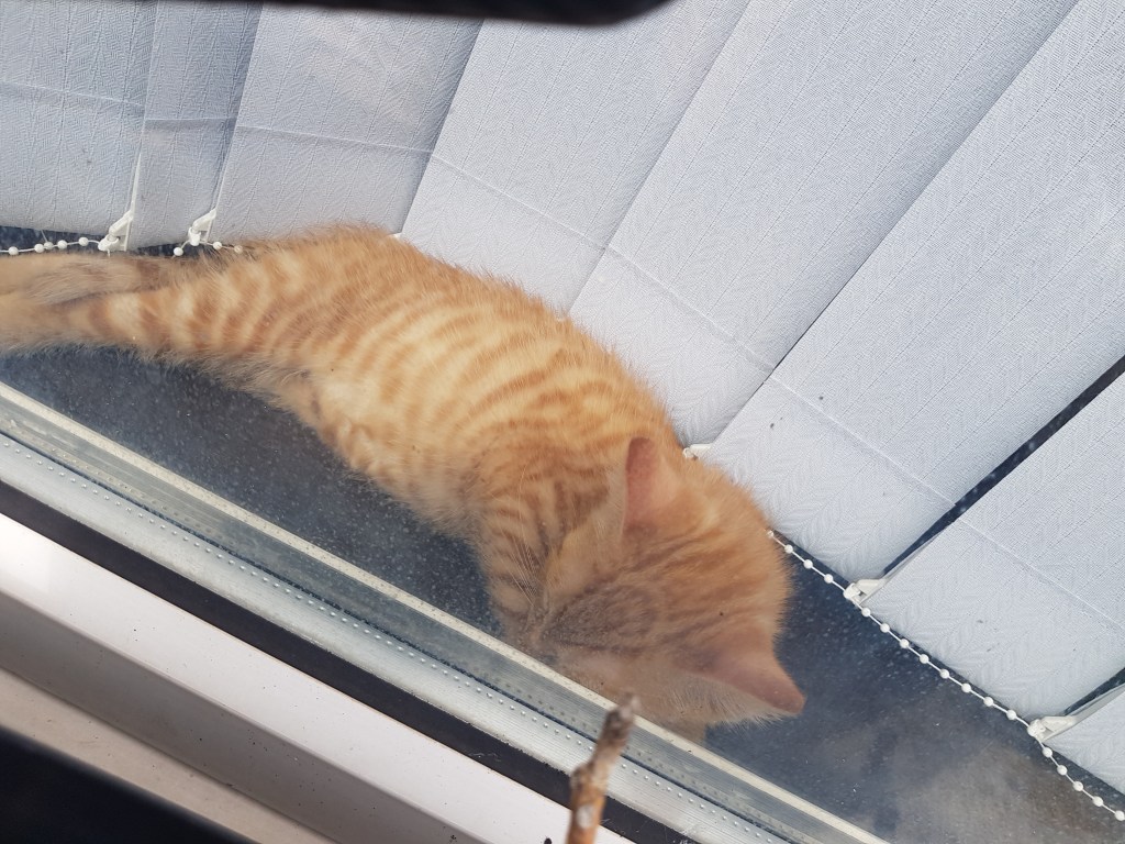 Setting a smaller&nbsp;goal