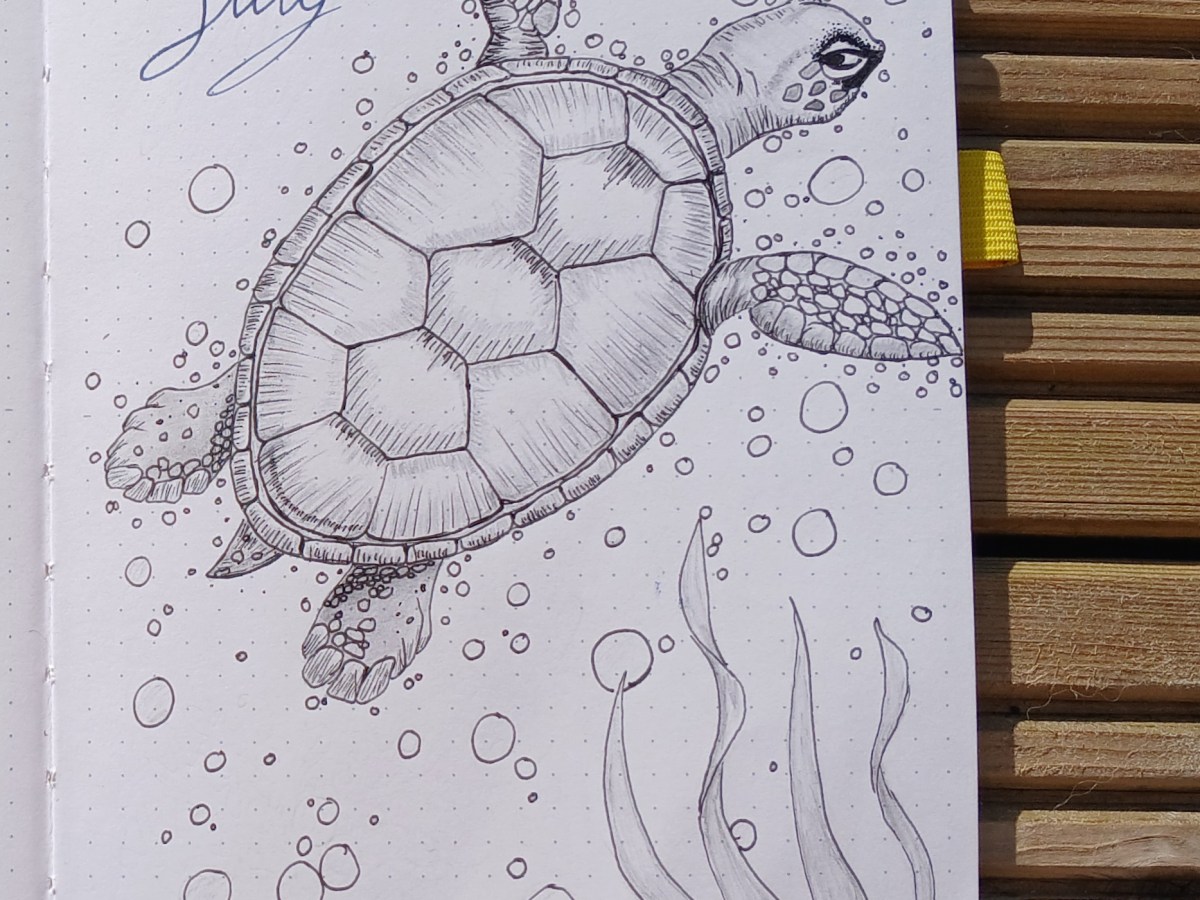 Designing your Bullet Journal: Monthly Spread:&nbsp; July&nbsp;2025&nbsp;